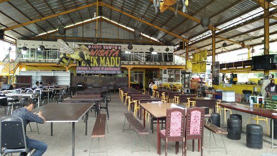 Agro Tawon Wisata Petik Madu